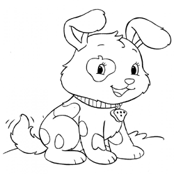 Cachorro