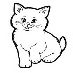 Gato