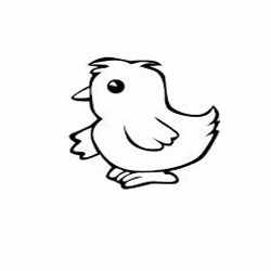 Pato